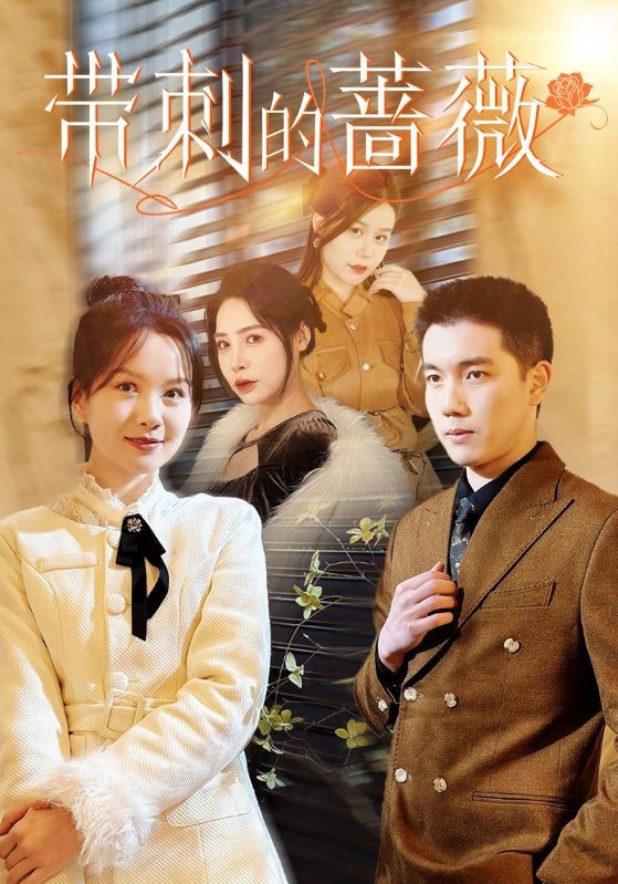 16324-带刺的蔷薇（50集）