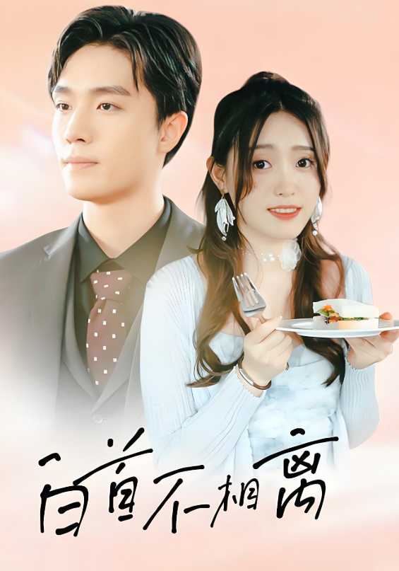 白首不相离(100集)顾铭修$夏沫染