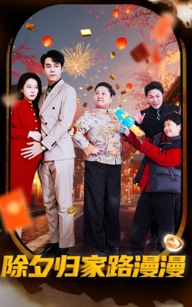 17075-除夕归家路漫漫（35集）