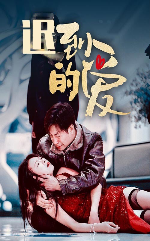 16174-迟到的爱（35集）