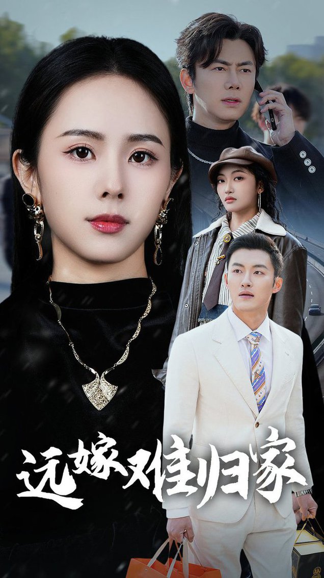 16568Y-远嫁难归家（32集）