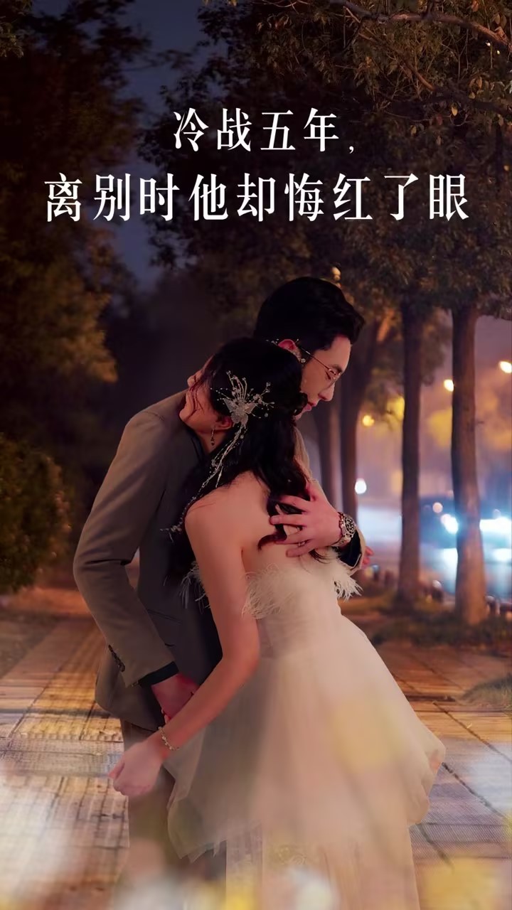 16084-冷战五年离别时他却悔红了眼（60集）