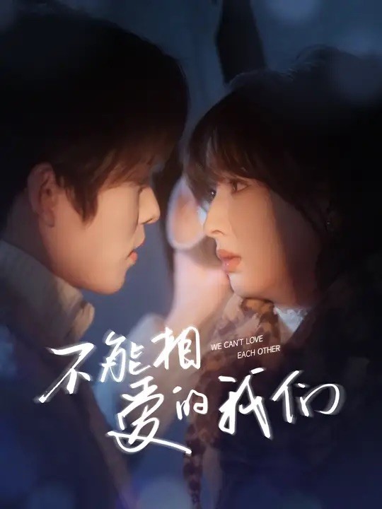 15918-不能相爱的我们（50集）长篇