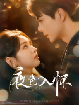 17505-夜色入怀（66集）王楠&李柯以