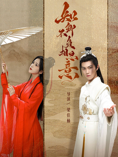 16493-知卿不负相思意（80集）温凉＆邓赟达