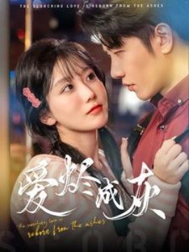 17012-爱烬成灰（99集）