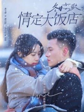 17105-冬日恋歌情定大饭店（74集）黄文博&王小亿