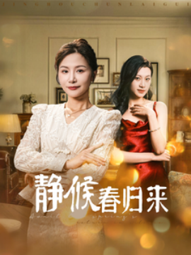 17315-静候春归来（31集）