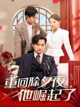 17312-重回除夕夜他崛起了（89集）