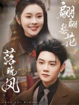 17014-翩翩梨花落晚风（84集）陈禹安＆权睿
