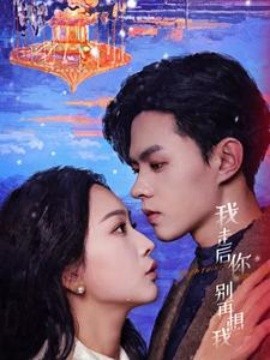 17413-我走后你别再想我（71集）