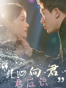 16879C-此心向君君应识（70集）