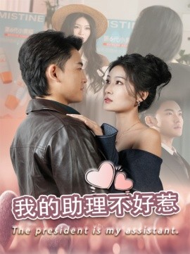 17218-我的助理不好惹（30集）丁博洋