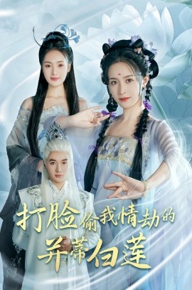 17076-打脸偷我情劫的并蒂白莲（30集）王蔼玲＆陈墁柯