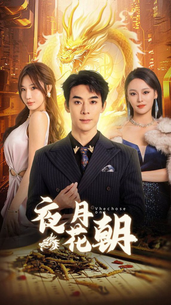 16499-夜月花朝（30集）