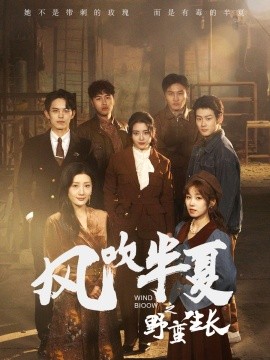 17317-风吹半夏之野蛮生长（59集）宋暖