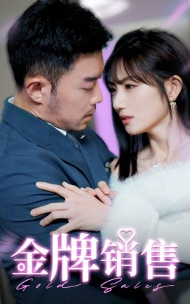 17480-金牌销售（41集）