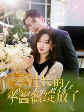 16920-季社长的小蔷薇绽放了（60集）王浩翔＆郭知爻