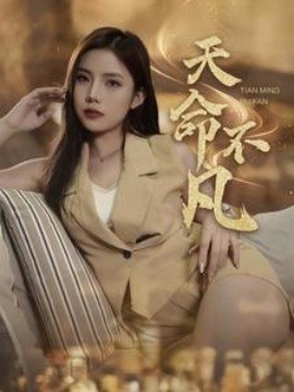 17136-天命不凡（28集）