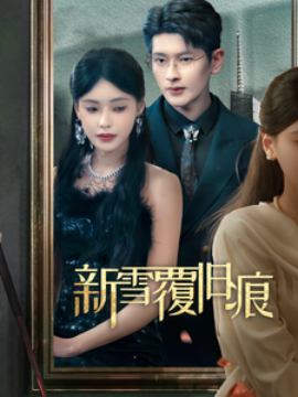 17822-新雪覆旧痕（60集）