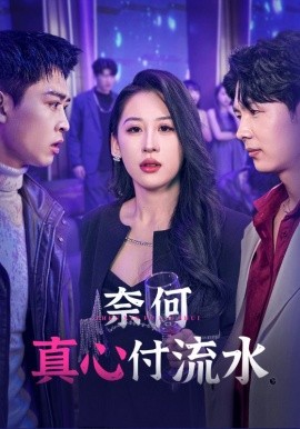 17873-奈何真心付流水（46集）