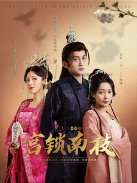 17813-宫锁南枝（31集）