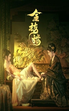 16355-金枝楼（52集）