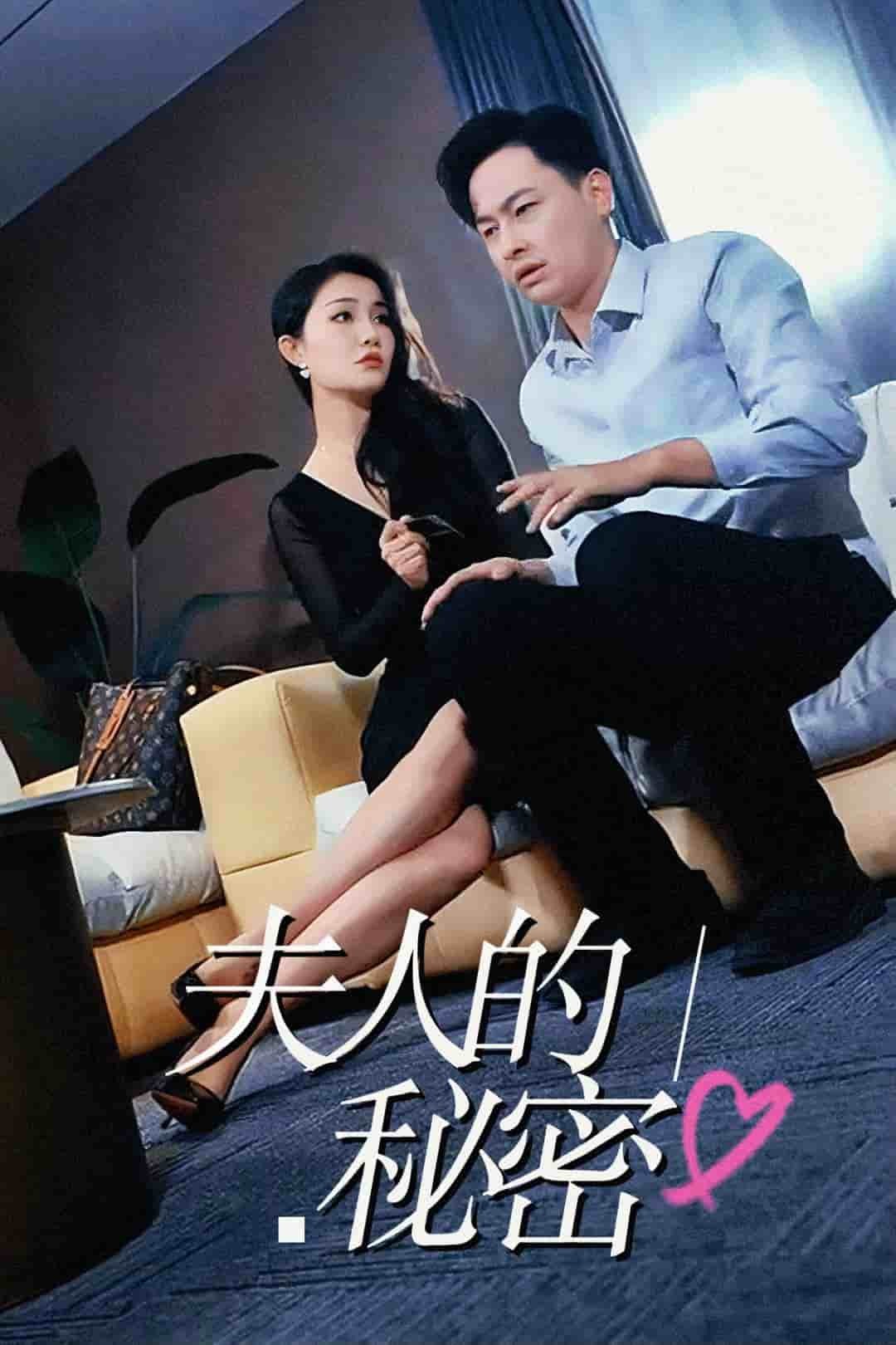 夫人的秘密[擦边剧]