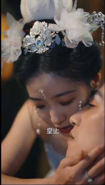 深宫秘史之昭鸾传[擦边剧]