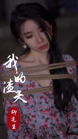 17811-我的渣夫柳先生（80集）