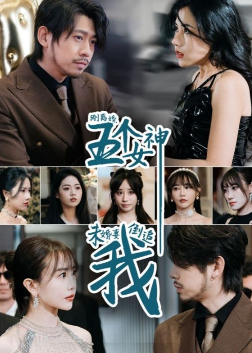 刚离婚，五个女神未婚妻倒追我