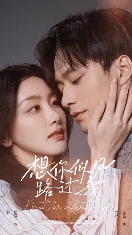 17799-想你似风路过我（40集）王皓祯＆孙露鹭