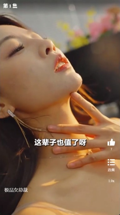 我的极品女总裁[擦边短剧]