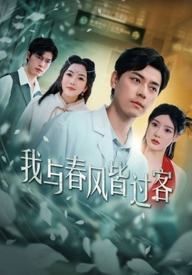 17801-我与春风皆过客（35集）