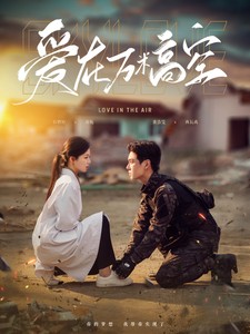 17733-爱在万米高空（100集）黄浩雯&时童