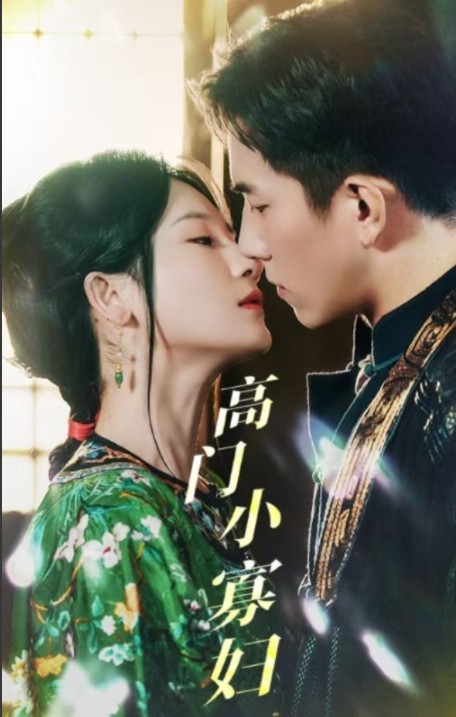 高门小寡妇[擦边短剧]