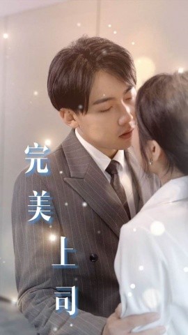 18738-完美上司（30集）擦边剧