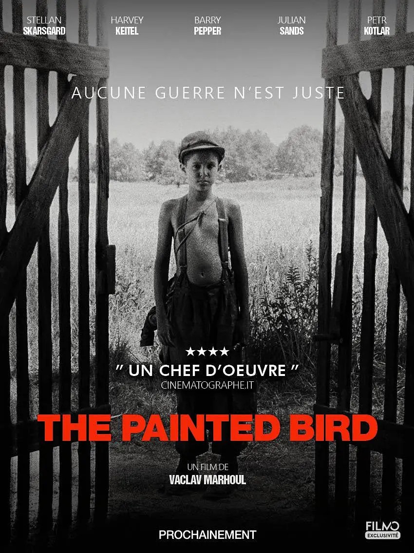 被涂污的鸟/色鸟